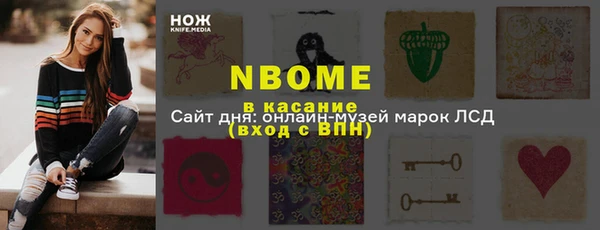 индика Алзамай